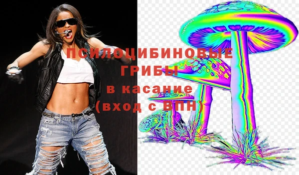 мдма Инта