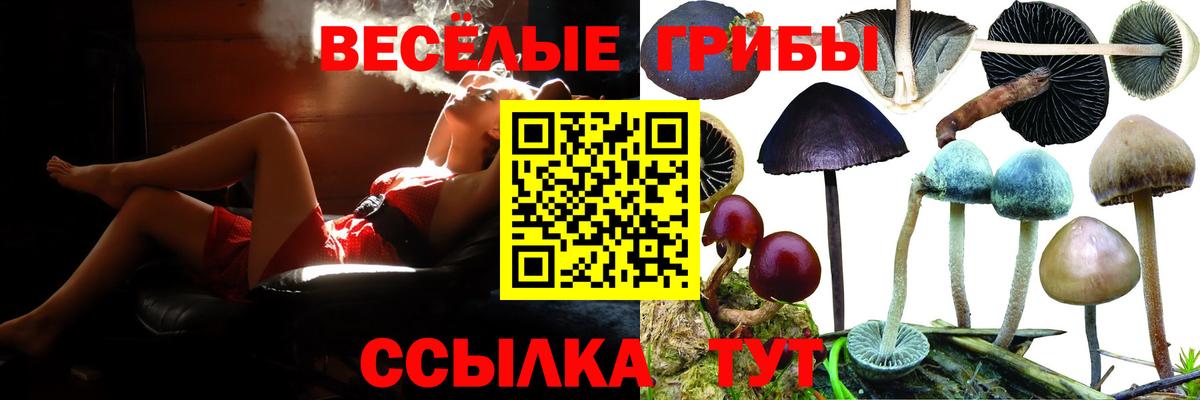 Псилоцибиновые грибы мухоморы Чебаркуль
