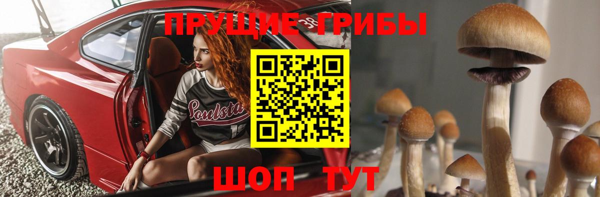 Чебаркуль  Галлюциногенные грибы Psilocybine cubensis  Вход с VPN 